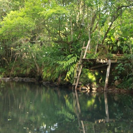 Casa De Campo - Sitio Da Tia Vera Villa มาควิเน ภายนอก รูปภาพ