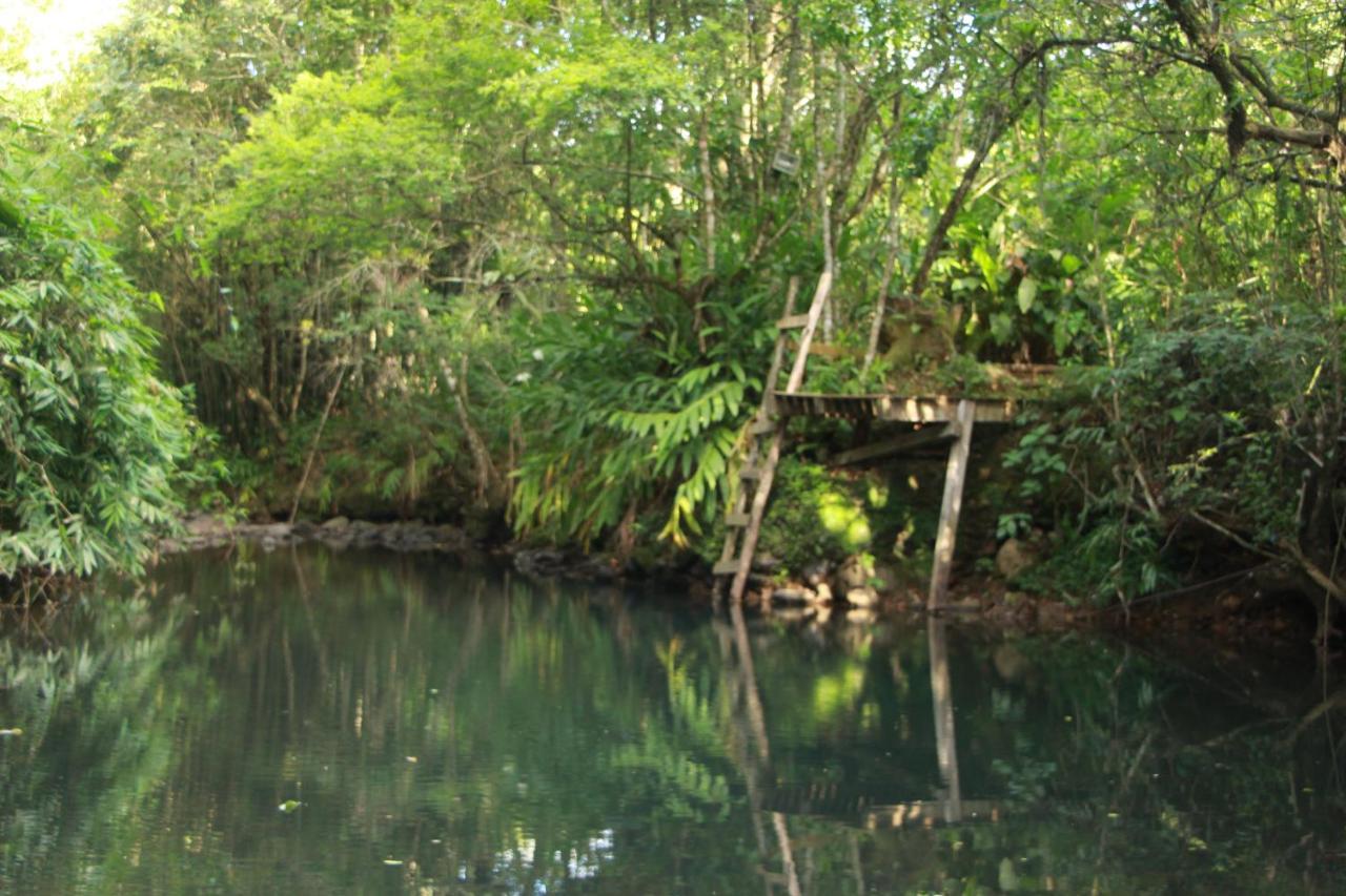 Casa De Campo - Sitio Da Tia Vera Villa มาควิเน ภายนอก รูปภาพ