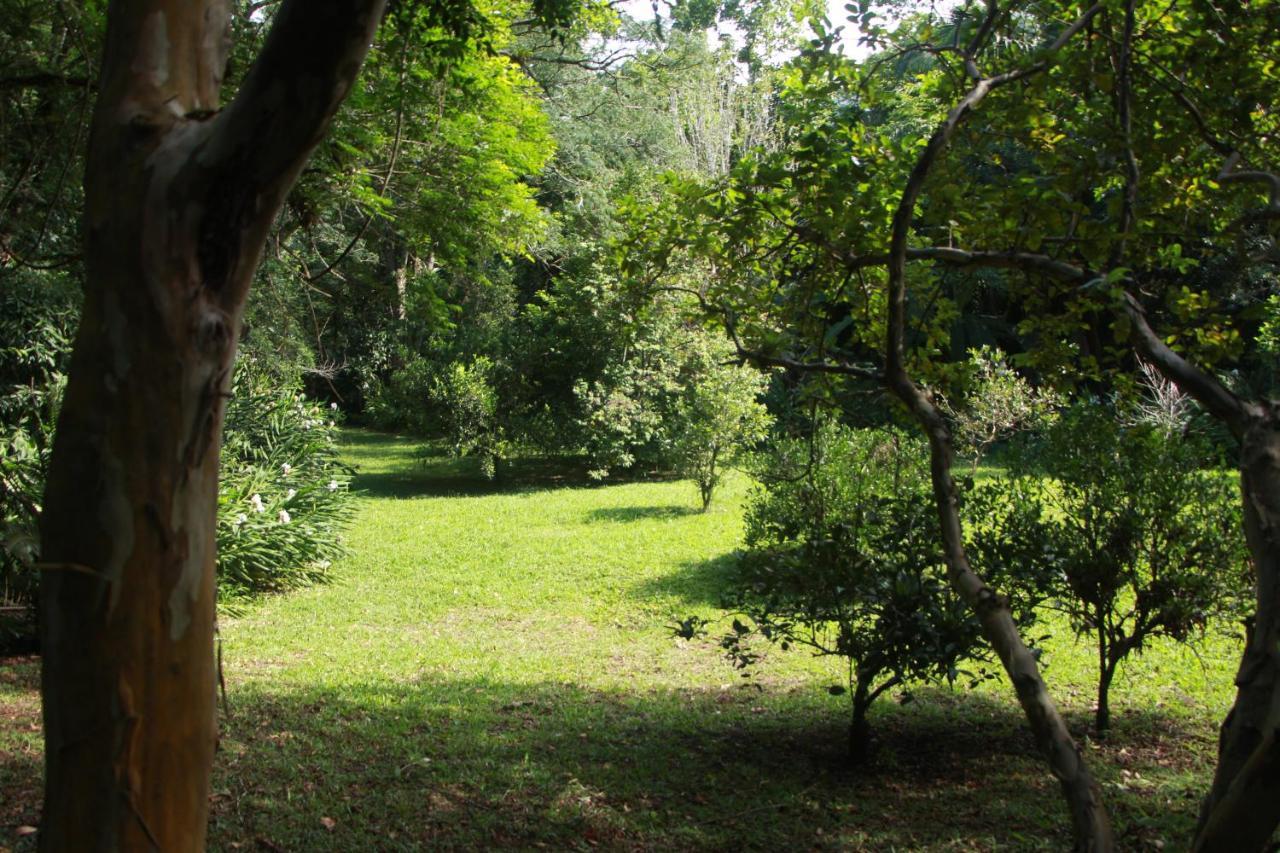 Casa De Campo - Sitio Da Tia Vera Villa มาควิเน ภายนอก รูปภาพ